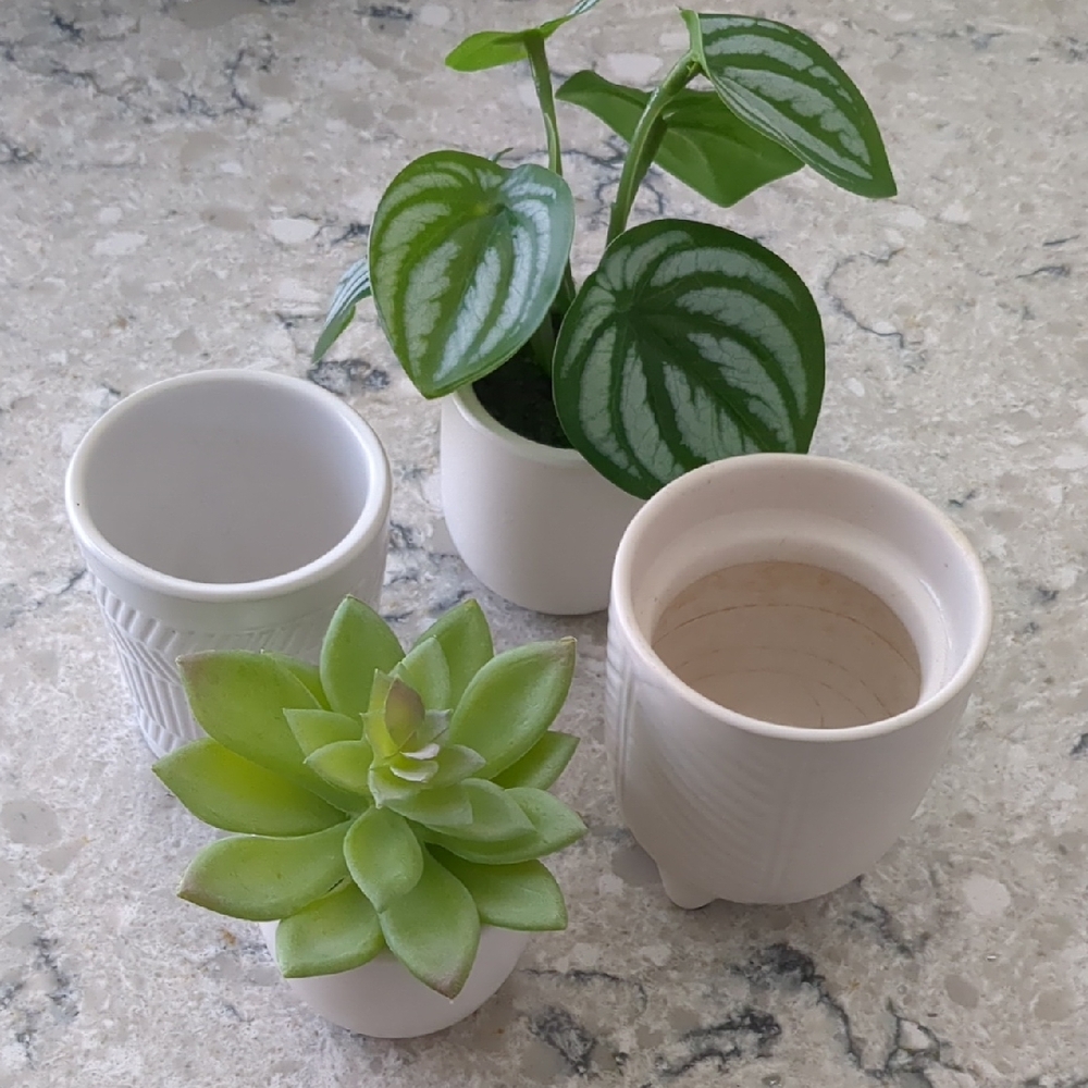 Threshold Faux Florals with Green Leaves and White Pots